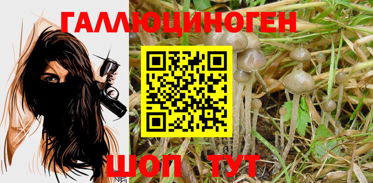 Псилоцибиновые грибы Magic Shrooms  Вход с VPN  Псилоцибиновые грибы GOLDEN TEACHER  Гусь-Хрустальный 