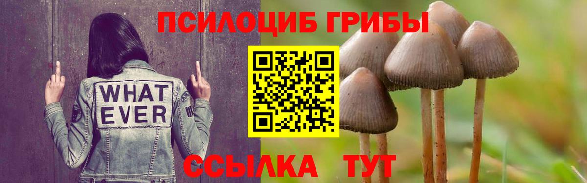 Псилоцибиновые грибы мухоморы Гусь-Хрустальный